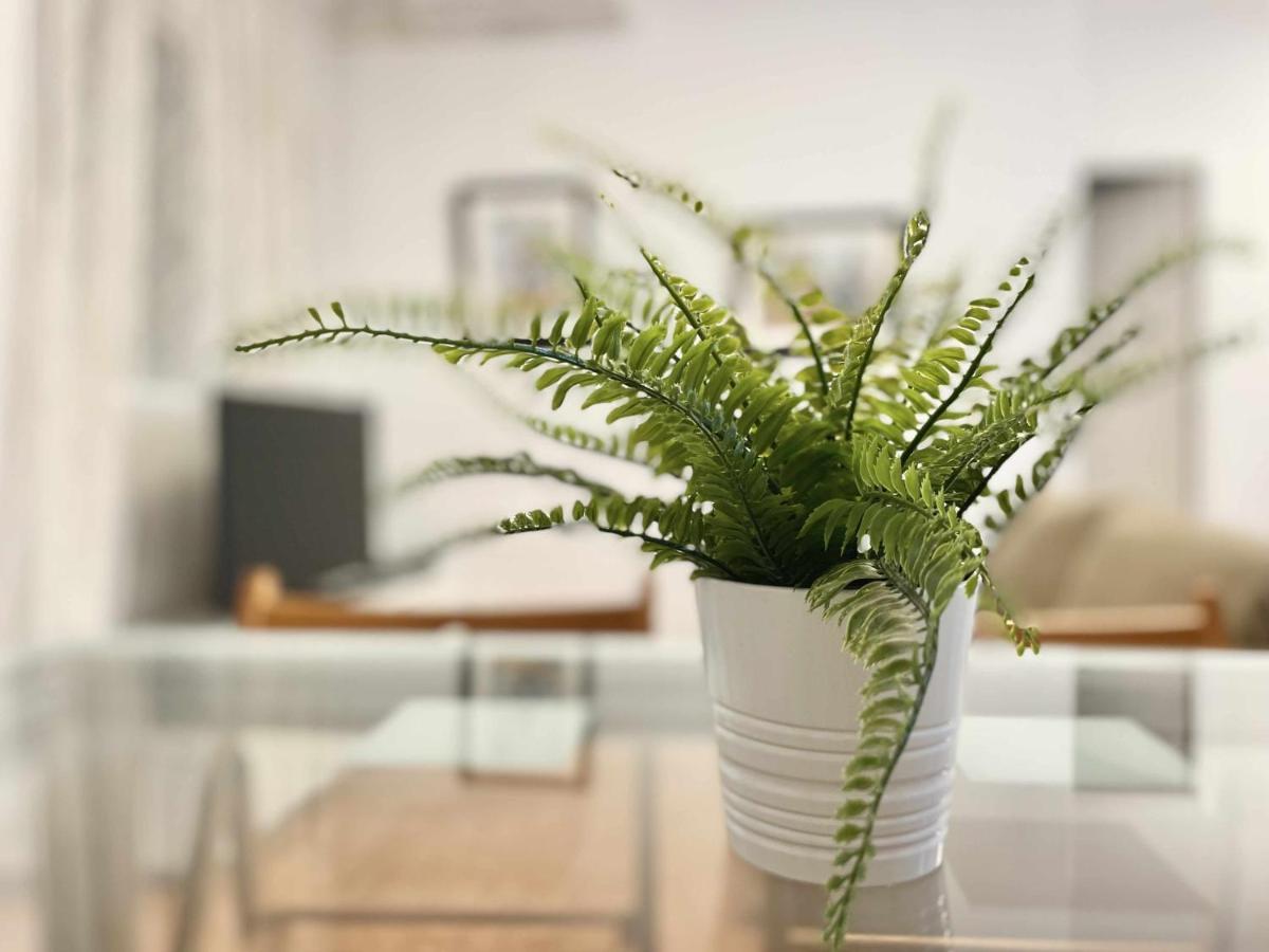 Apartamento En El Centro De Malaga En El Soho 外观 照片